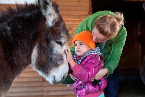 Photo utilisée avec la permission de The Donkey Sanctuary 