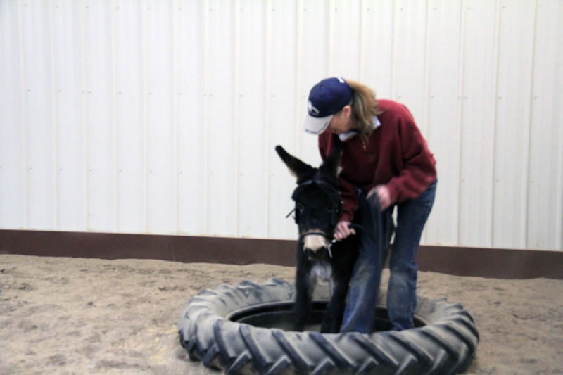 Whoa, this tire’s a lot bigger than me! Help!