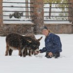 Meredith sits with Spuds and Augie in the snow