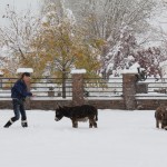 Meredith with Spuds and Augie in the snow