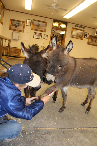 Good grooming is really important!