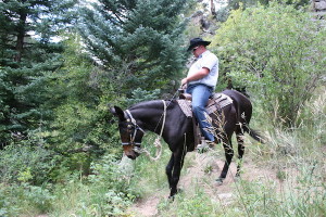 TrailRidingCheleyretreat8-17-2010 248